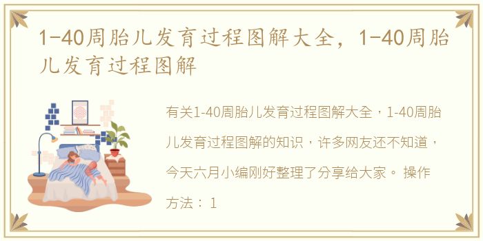 1-40周胎儿发育过程图解大全，1-40周胎儿发育过程图解