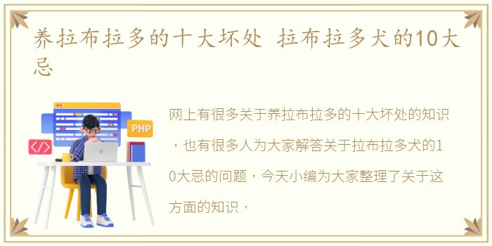 养拉布拉多的十大坏处 拉布拉多犬的10大忌