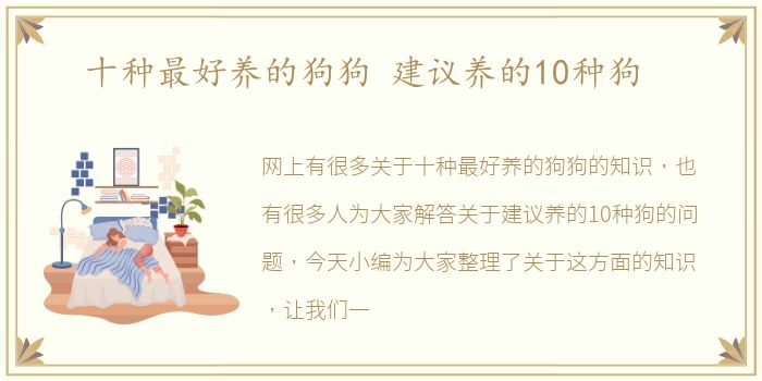 十种最好养的狗狗 建议养的10种狗