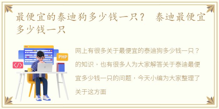 最便宜的泰迪狗多少钱一只？ 泰迪最便宜多少钱一只