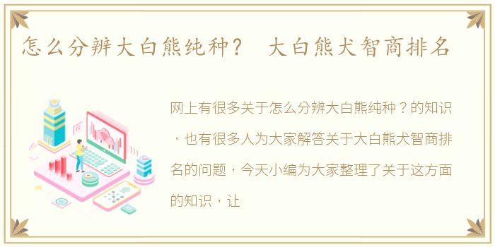 怎么分辨大白熊纯种？ 大白熊犬智商排名