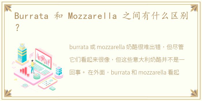 Burrata 和 Mozzarella 之间有什么区别？